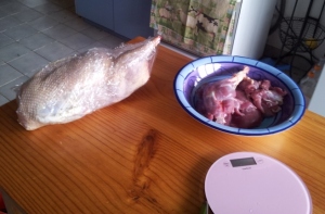 Geese 'after' - a neat roasting bird and bowl of meat.