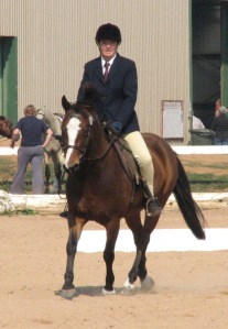 Rusty at the APOB dressage day